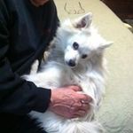 Sandy Bowen - @sandybowen7862 - Instagram