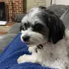 sandybowyerdooley - @sandybowyerdooley - TikTok