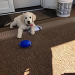 Sandy Boyer - @sistersranch - Instagram