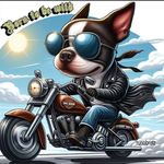Sandy Boyer - @sandy.boyer.545 - Instagram