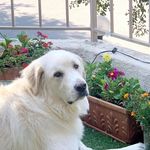 Sandy Boyer West - @slwest926 - Instagram