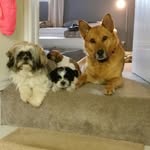 Sandy Bradley - @sandy.bradley.509511 - Instagram