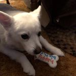 Sandy Braun - @sandy.braun.543 - Instagram