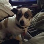 Sandy Braun - @sandybraun50 - Instagram