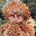 Sandy Brigham - Facebook