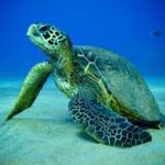 Sandy Brock - @sandy_brock321 - Instagram