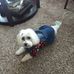 Sandy Browder - Facebook