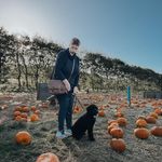 Sandy Brownfield - @sandybrownfield - Instagram