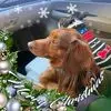Sandy Bryan - @sandy.bryan71 - TikTok