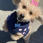 Sandy Brychta - @cupcake_the_strawberry_blonde - Instagram