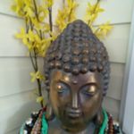 Sandy Bucher - @sandy.bucher.355 - Instagram