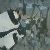 sandybuck169 - @sandybuck169 - TikTok