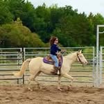 Sandy Buckley - @sandy.buckley.581 - Instagram