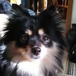 Sandy Buckley - @buckleysandy - Instagram