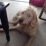Sandy Budd - @budd_sandy - Instagram