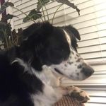 Sandy Budd - @budd.sandy - Instagram