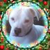 Sandy Budd - Facebook