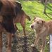 Sandy Bugg - Facebook