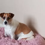 Sandra Bunce - @sandra.bunce.3760 - Instagram