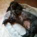 Sandy Bunton - Facebook