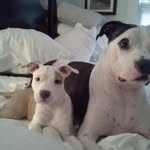 Sandy Burch - @sandy.burch.3152 - Instagram