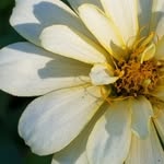 sandy burch - @there_for_the_seeing - Instagram