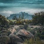 Sandy Burd - @burdsandy - Instagram
