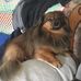 Sandy Burd - Facebook