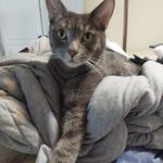Sandy Burdette - @pittypatin - Instagram