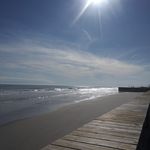Sandy Burdsall - @vogelsandy4 - Instagram