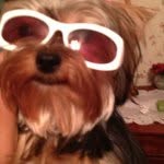 Sandy Burke - @granna64 - Instagram