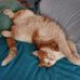 Sandy Burke - Facebook