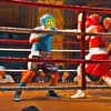 sandy.burke5 - @sandy.burke5 - TikTok