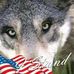 Sandy Burnham - Facebook