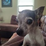 Sandy Burton - @scburt762yahoocom - Instagram
