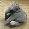 Sandy Burton - @sandy.burton0 - TikTok