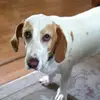 Sandy - @sandyburton5 - TikTok