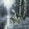 Sandy Bush569 - @sandybush569 - TikTok