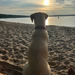 Sandy Butcher - @sdb_np - Instagram