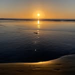 Sandy Buxton - @sandybeachbux - Instagram