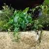 Sandy Cabral - @sandy.cabral54 - TikTok