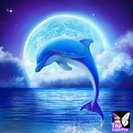 Sandy Call - Facebook