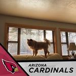 Sandy Call - @sandy_call - Instagram