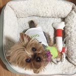 Sandy Call Me Too Cute - @sandycallmetoocute - Instagram