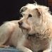 Sandy Callaway - Facebook