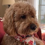 Sandy Calvert - @sandy.calvert.1023 - Instagram