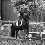 Sandy Calvert - @our_equestrian_daze - Instagram