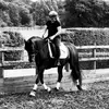 sandycalvert - @dressagewannabe_ - TikTok