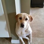sandy and roxy mangum + Calvin - @sandy_and_roxy - Instagram
