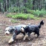 Sandy Calvin - @blissyandme - Instagram
